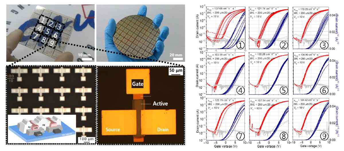 유리 기판과 실리코 웨이퍼 위에 대면적 용액 공정으로 만든 CdSe TFT 어레이 사진과 이것들의 TFT 성능 그래프