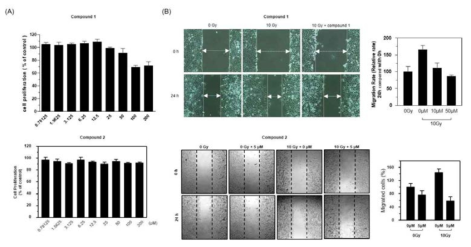 방사선 유도 암 이동성 억제 활성