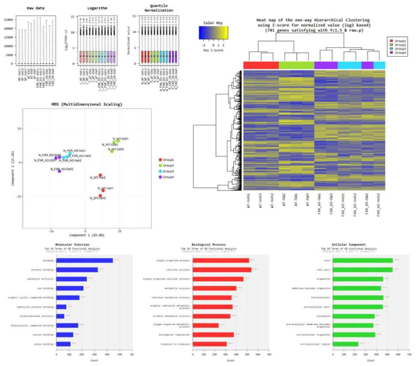 RNA-Sequencing data analysis of Wild-type and FXR KO mouse kidney. Vehicle or FXR agonist GW4064 (35 mg/kg) treated with IP injcetion in wild-type and FXR KO mouse for 6h. RNA was purified with whole kidney, and RNA-Sequencing was performed