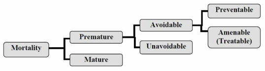 회피가능 사망(avoidable mortality)의 개념 (Source: Gay J. et al., 2011)