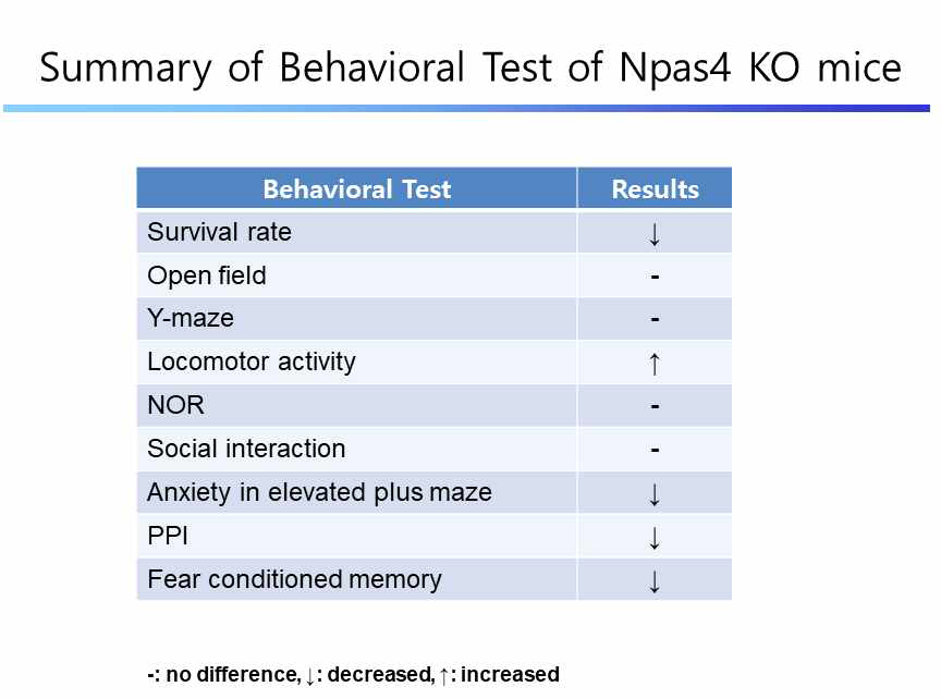 Npas4 KO 마우스의 행동 변화 요약
