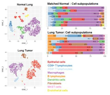 폐암 수술 조직과 정상 폐조직의 단일세포 전사체 분석 결과