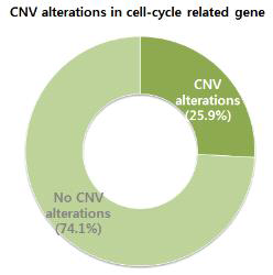 세포주기 관련 유전자의 CNV