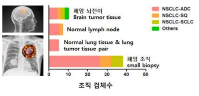 3차년도 폐암 샘플 모집 현황