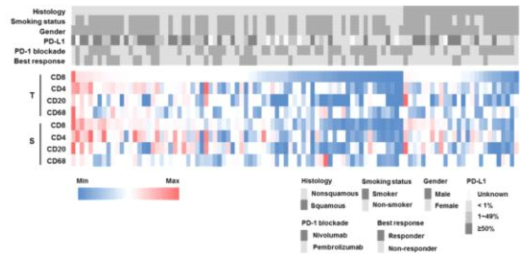 폐암의 면역세포 분포 heatmap