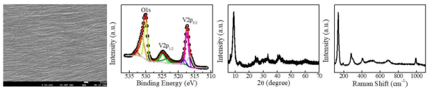 합성한 바나듐 산화물 나노선의 SEM image, XPS, XRD, Raman spectroscopy