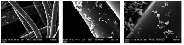 Cu2O 나노와이어와 그래핀 산화물이 코팅된 전자섬유의 SEM image