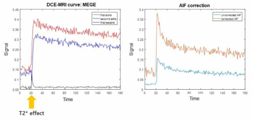 첫 번째 에코 신호와 두 번째 에코 신호 비교 (왼쪽, 붉은 선과 푸른 선). T2*의 영향으로 첫 번째 에코와 두 번째 에코의 차이가 시간에 따라 달라짐 (왼쪽, 검은 선). T2*의 영향을 보정한 신호 비교 (오른쪽). 보정된 신호가 더 강하고 큰 조영증강을 보임