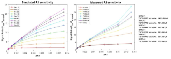 컴퓨터 시뮬레이션을 이용한 기울임 각에 따른 조영 증강 그래프 (왼쪽). 가돌리늄 조영제 (Gd-DOTA)를 이용한 RARE 펄스열의 최적화