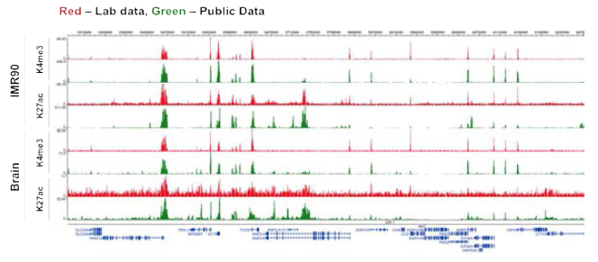 ChIP-seq 라이브러리 시퀀싱 결과 비교 분석