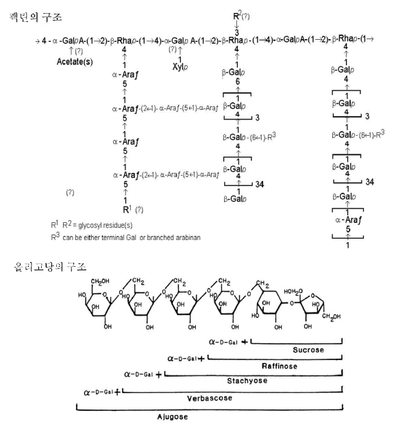 대두에 존재하는 다당류와 올리고당의 구조