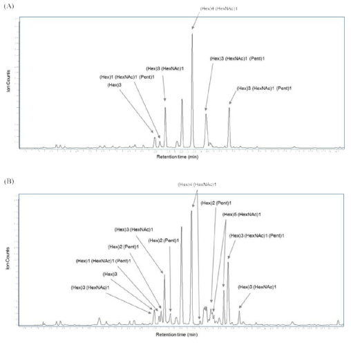 된장(A)과 간장(B) 올리고당의 HPLC Q-TOF MS 크로마토그램