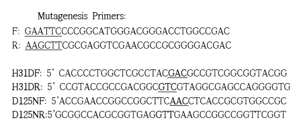 8번째 domain DH mutagenesis 하기 위해 제작된 Primers