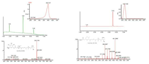 S. chromofuscus and S. chromofuscus △8DH 균주 결과에 대한 Mass 분석