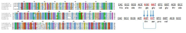 3번째 및 7번째 domain ER mutagenesis을 위한 primer 제작