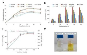 Naringenin 농도에 따른sulfated naringenin 생산성. (A) Cell growth at OD600 nm and (B) the substrate concentration optimization of naringenin in biotransformation. (C) Cell growth at OD600 nm and the scale-up production sulfated naringenin in 3-L fermentation at different time intervals. (D) Comparison of color between substrate and product