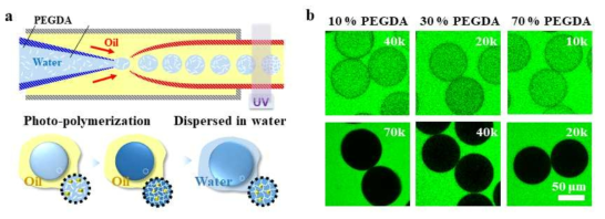 a 미세유체소자를 이용한 하이드로젤 입자 형성 과정 모식도. b 가교밀도에 따른 PEGDA 하이드로젤 입자들의 cut-off 값