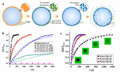 공중합체 중합 유도 상분리를 통한 미세기공 캡슐 형성. b 형광분자 크기에 따른 투과도. c 캡슐의 가 a 블록교된 정도에 따른 투과도