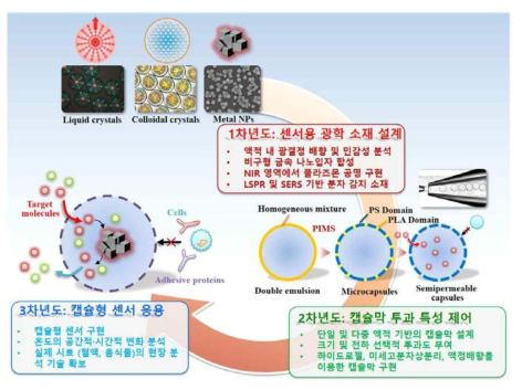 연차별 연구내용의 흐름도