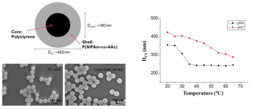 코어-쉘 입자 모식도와 SEM 이미지 및 온도와 pH에 따른 입자 특성변화