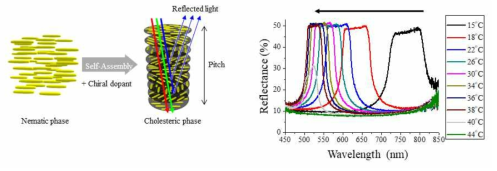 콜레스테릭 액정 모식도와 온도에 따른 액정의 반사스펙트럼 변화