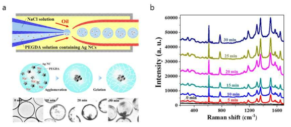 a 반대 전하이온을 이용한 액적 내 은나노입자 응집체 형성 모식도 및 OM 이미지. b 응집 시간에 따른 Rhodamine 6G SERS 그래프