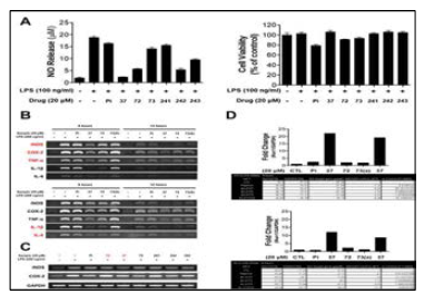 The inhibitory effect of piperine metabo lites on proinflammatory cytokines in BV-2 microglial cells