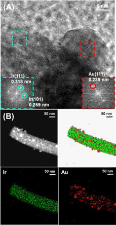 (A) 금 나노입자가 수식된 Ir/IrO2 나노섬유의 TEM 이미지 및 (B) 원소분석 이미지