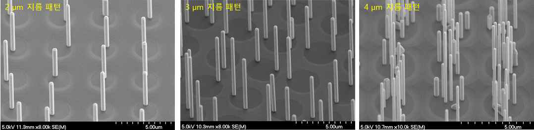 SiO2 패턴형태에 따른 InAs 나노와이어 성장형태를 보여주는 SEM 사진