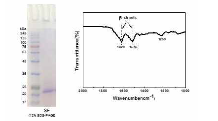 제조된 실크펩타이드 나노파이버의 정성분석 FT-IR