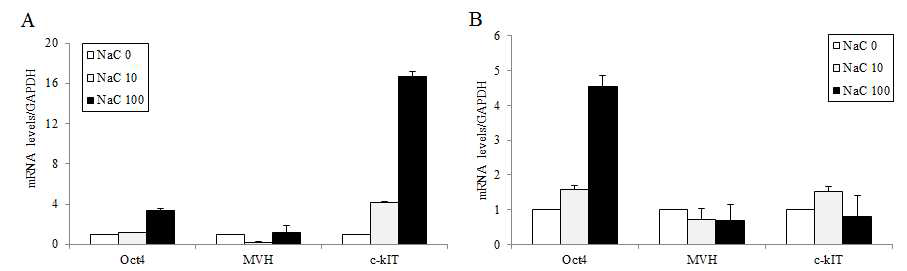 RT-PCR analysis of pluripotent and germ cell markers in the 3 week postcultured OSE of different aged mice. (A, B) 2 months of age (C, D) 6 months of age