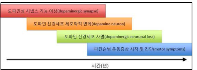 파킨슨병에 수반되는 도파민 신경세포의 점진적 변화