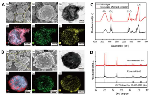 지질 추출 전(A)/후(B)의 미세조류 바이오매스를 이용한 수열합성법으로 제조된 Sn/C 복합구조체의 TEM-EDS 사진 및 FT-IR, XRD 분석 결과