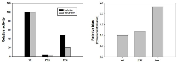 (좌) PSR 변이체와 trnc 변이체의 활성 비교 및 (우) catalytic bias 비교