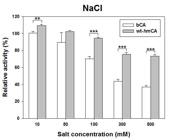 Salt에 의한 hmCA의 활성 저해 내성