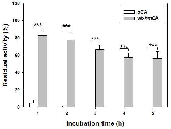 K2CO3에서 hmCA와 bCA의 안정성 비교