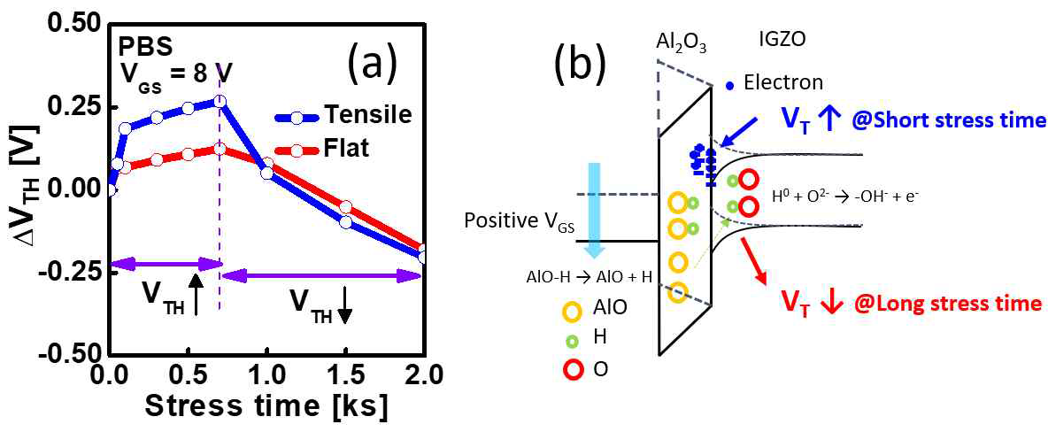 (a) 기계적 스트레스 (tensile stress)가 인가된 경우와 인가되지 않은 경우의 IGZO TFT의 PBS 신뢰성 비교 결과. (b) PBS 인가 하에서의 문턱전압의 양방향 변화를 설명하기 위한 모식도. Electron trapping과 ALD Al2O3로부터의 hydrogen diffusion이 관찰된 현상의 주요 원인으로 판단됨
