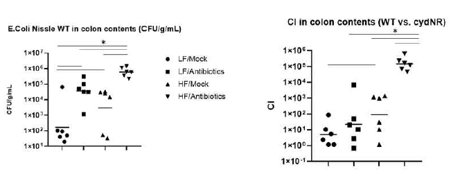 8주 후 E.coli WT 및 WT:cydA mutant competitive index 비교