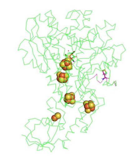 Rosetta Backrub을 이용하여 예측한 CpI 원형(녹색)과 특정 변이체(분홍색)의 3차원 분자 구조
