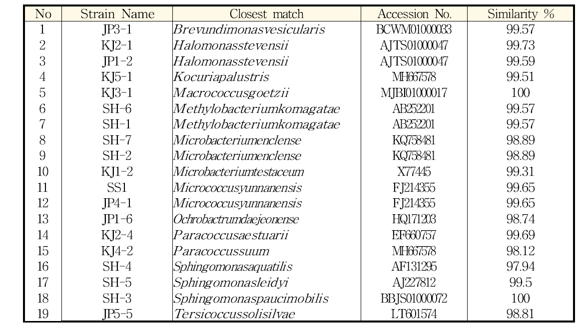 일반 영양 배지(NB)에서 분리한 균주의 16s rRNA seq 분석에 따른 동정 결과