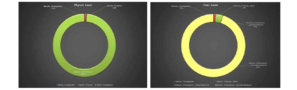 미생물 군집 결과 (문(Phylum,좌), 강(Class, 우))