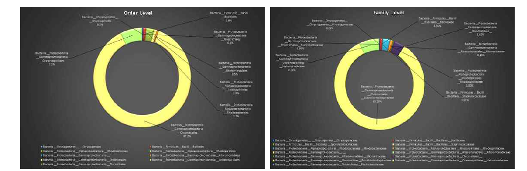 공정수내의 미생물 군집 결과 (목(Order,좌), 과(Family,우))