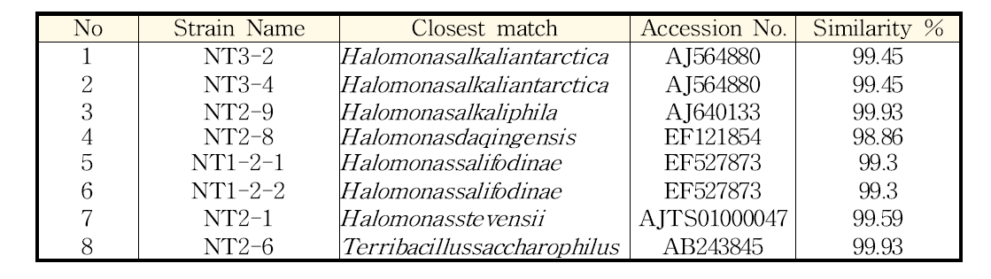 첨가 NB 배지에서 분리한 균주의 16s rRNA seq 분석에 따른 동정 결과