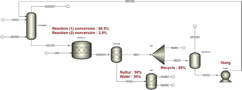 황화수소 제거를 위한 scrubber 및 바이오황 전환을 위한 미생물 반응조에 대한 공정흐름도