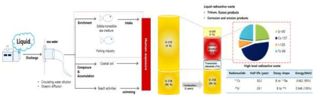 액체방사성폐기물의 이행경로 및 주요 방사성 핵종