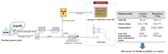 실제 저농도 액체 방사성 폐기물 처리를 위한 기초 성능 평가