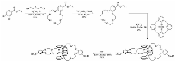 Calix[4]arene bis-(3-Carboxylbenzocrown-6)의 합성과정