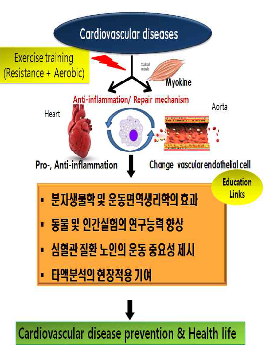 연구결과의 중요성