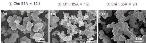 티타늄 기판에 키토산과 BSA 함량 변화에 따라 형성된 인산칼슘의 형상