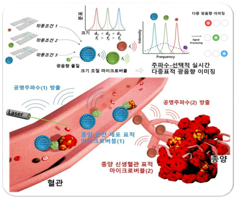 제안 기술의 원리 및 최종 응용 예시를 보여주는 모식도